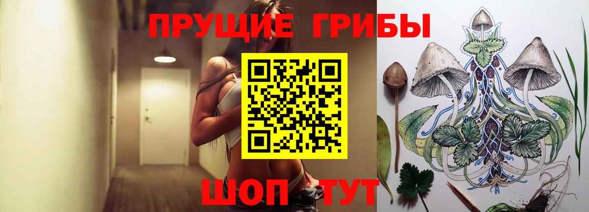 Томск  Галлюциногенные грибы Psilocybe  Вход с VPN 